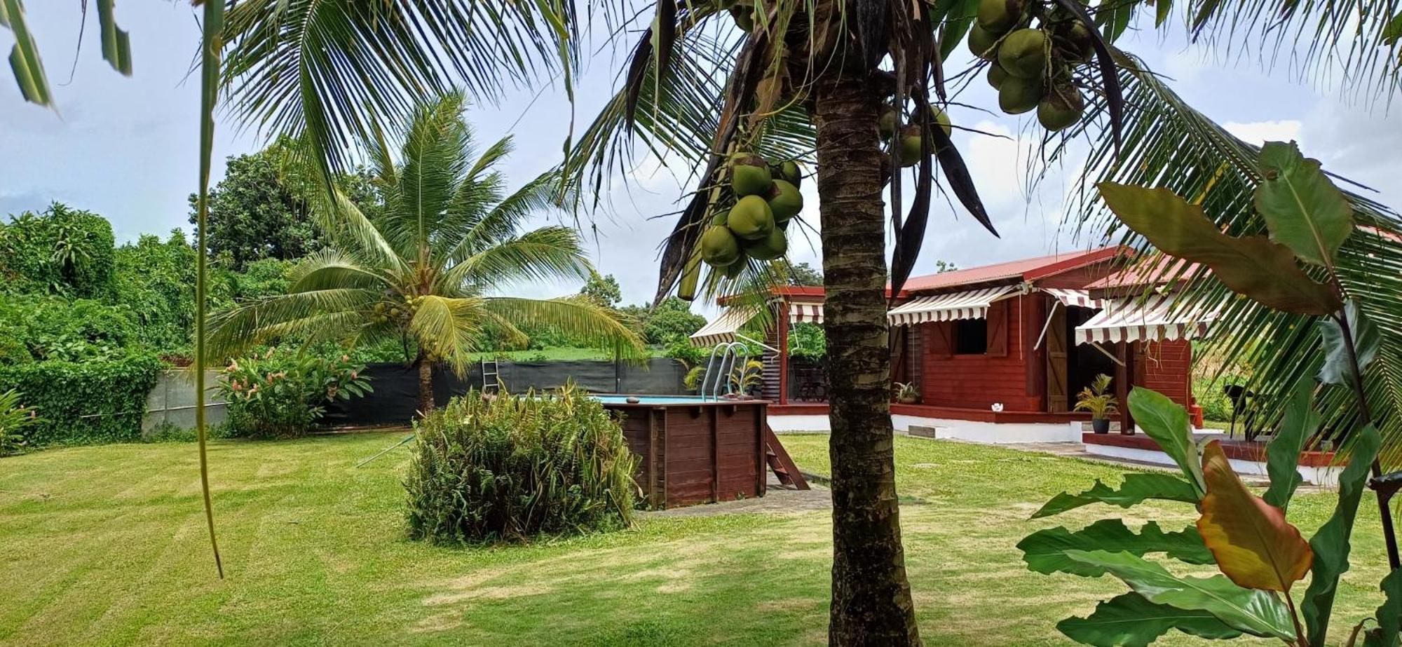 Le "Bwa ' Kao" Villa Capesterre-Belle-Eau Dış mekan fotoğraf